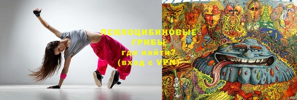 спайс Баксан