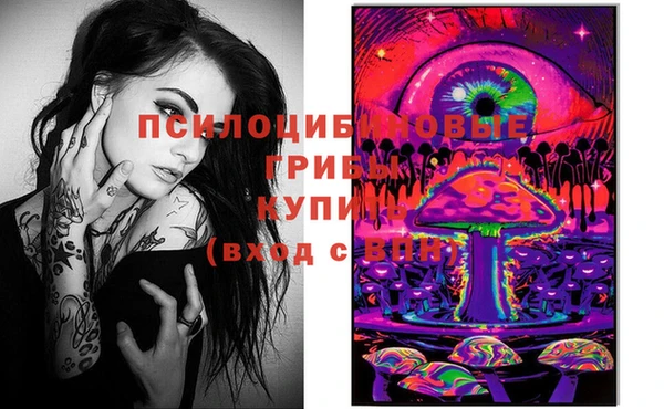 прущий лед Арсеньев