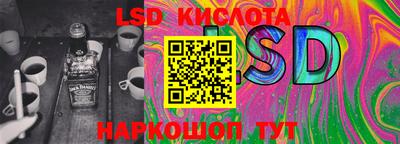 прущие грибы Рыбинск