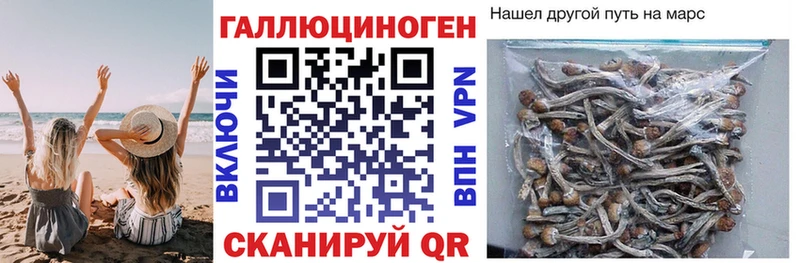 нарко площадка наркотические препараты  kraken рабочий сайт  Слободской  Галлюциногенные грибы MAGIC MUSHROOMS 