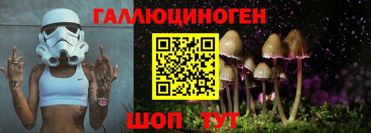 Слободской  Галлюциногенные грибы Psilocybe  Вход с VPN  Псилоцибиновые грибы мухоморы 